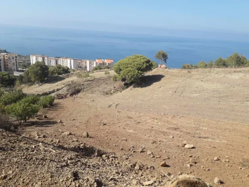 Vente Terrain Tipaza Larhat