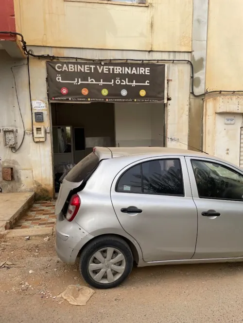 Vente Local Alger Saoula