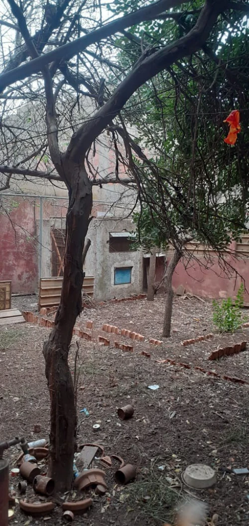 Vente Villa Tlemcen Ghazaouet