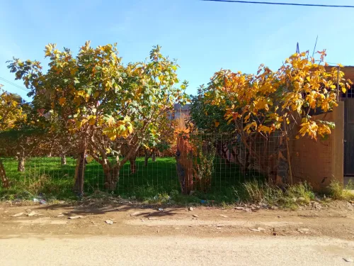 Vente Terrain Blida Ouled selama
