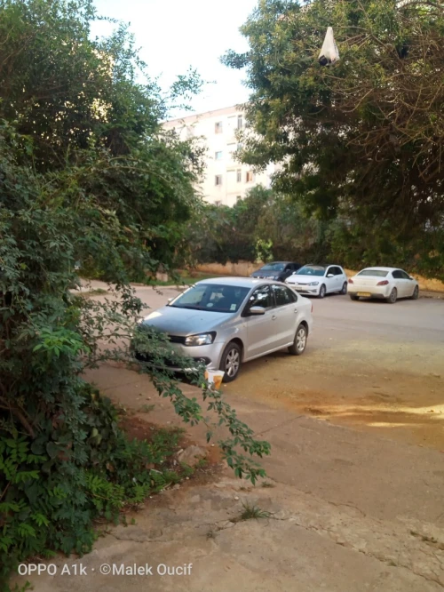 Vente Appartement Alger Zeralda