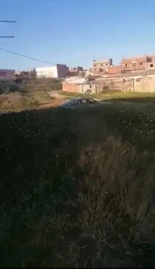 Vente Terrain Agricole Mostaganem Ouled el kheir