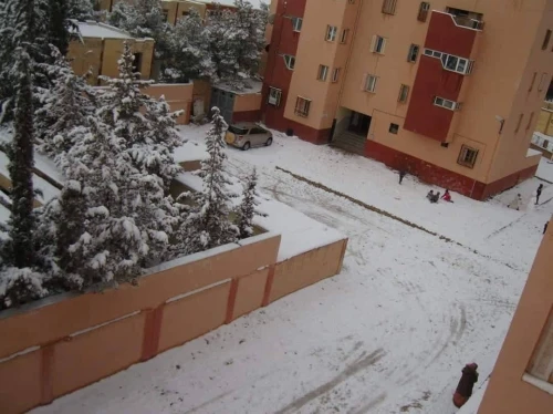 Vente Appartement F4 Djelfa Djelfa