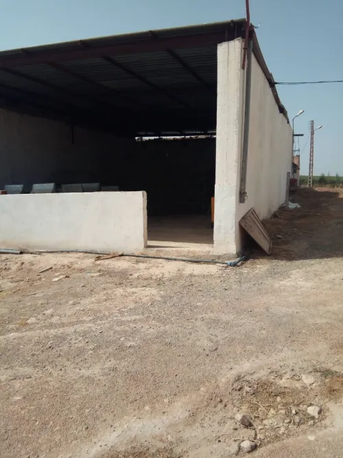 Vente Terrain Agricole Sidi bel abbes Sidi dahou de zairs