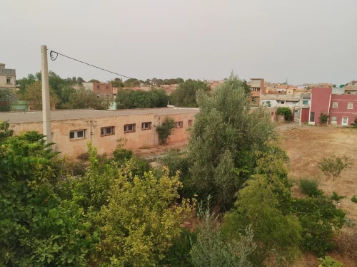 Vente Terrain Sidi Bel Abbès Ben badis