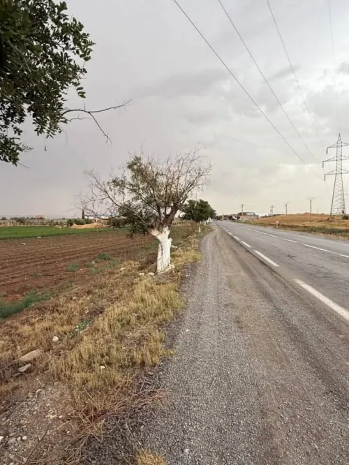 Vente Terrain Agricole Sidi Bel Abbès Lamtar