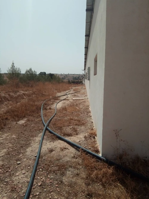 Vente Terrain Agricole Sidi bel abbes Sidi dahou de zairs