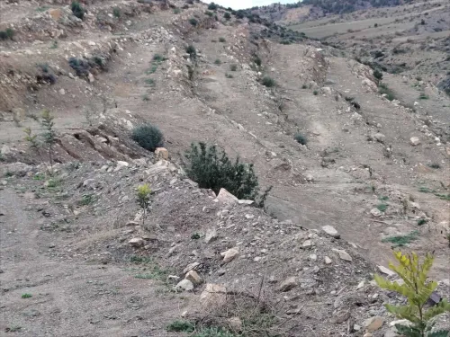 Vente Terrain Agricole Bordj Bou Arreridj Medjana