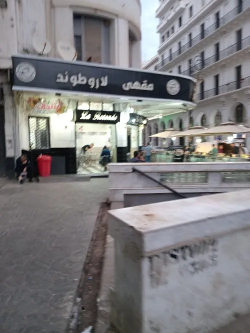 Location Local Alger Alger centre