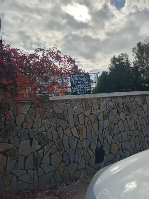 Vente Terrain Alger Cheraga