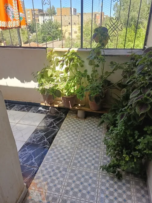 Vente Villa Sidi Bel Abbès Sidi bel abbes
