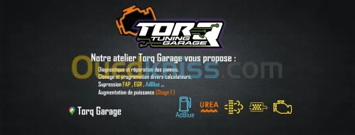 Diagnostic, scanner et reprogrammation automobile