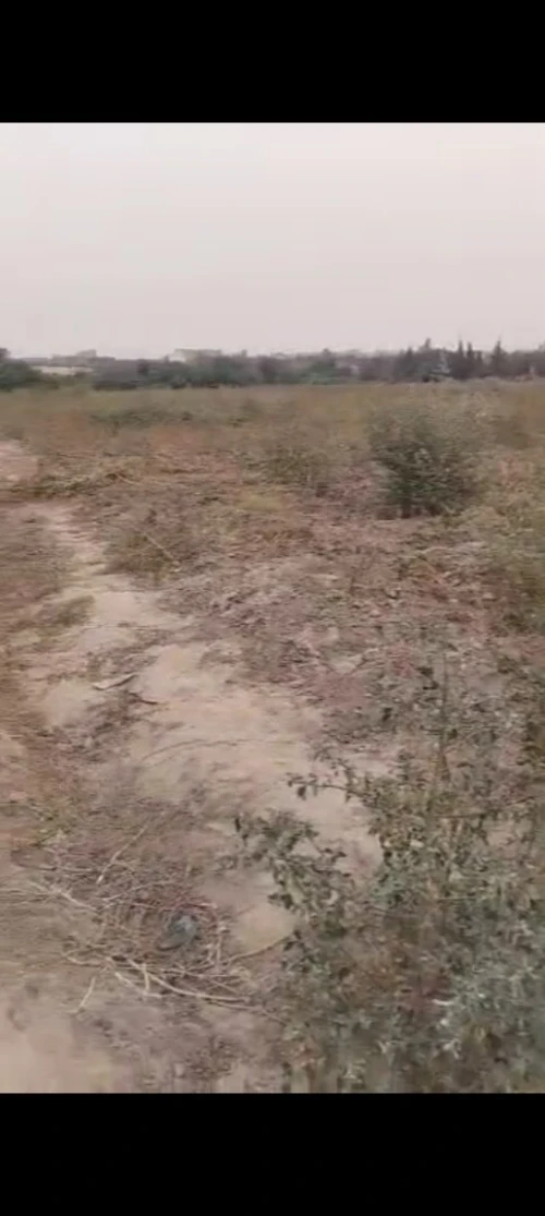 Vente Terrain Mostaganem Hassi maameche