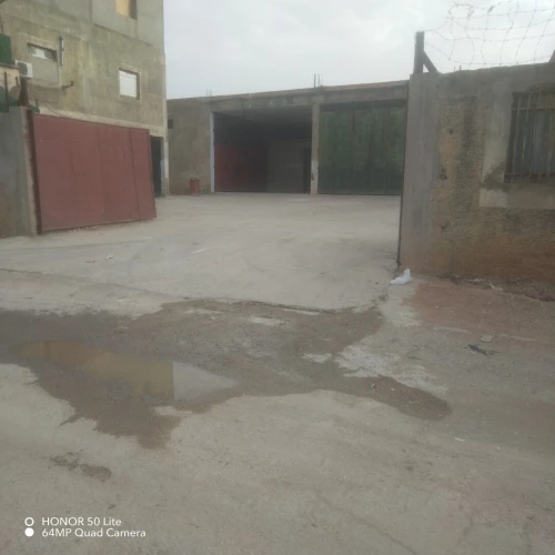 Location Hangar - Usine Guelma Guelma 4