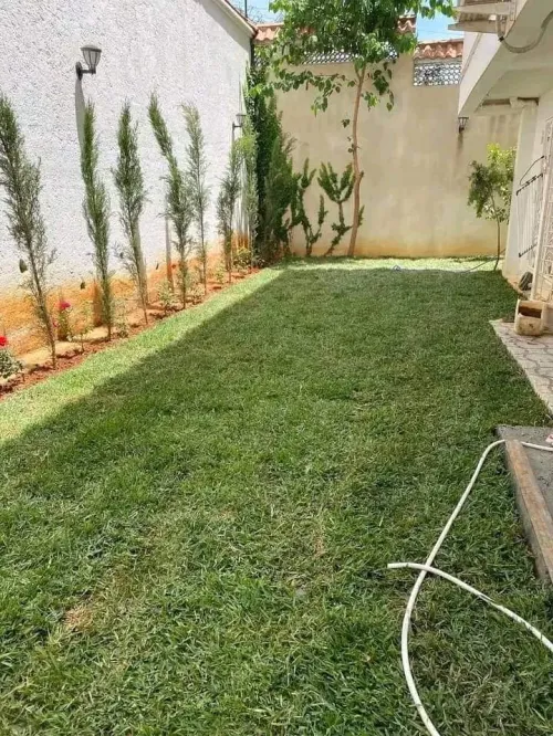 Gazon تهيئة الحدائق و المساحات الخضراء 