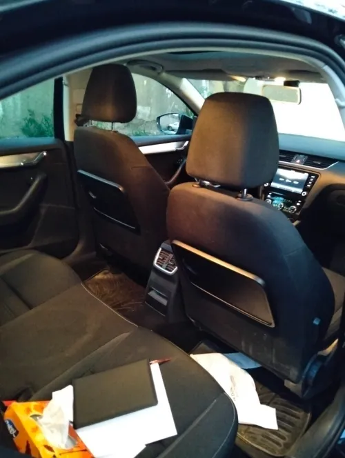 Skoda Octavia 2019 Clever