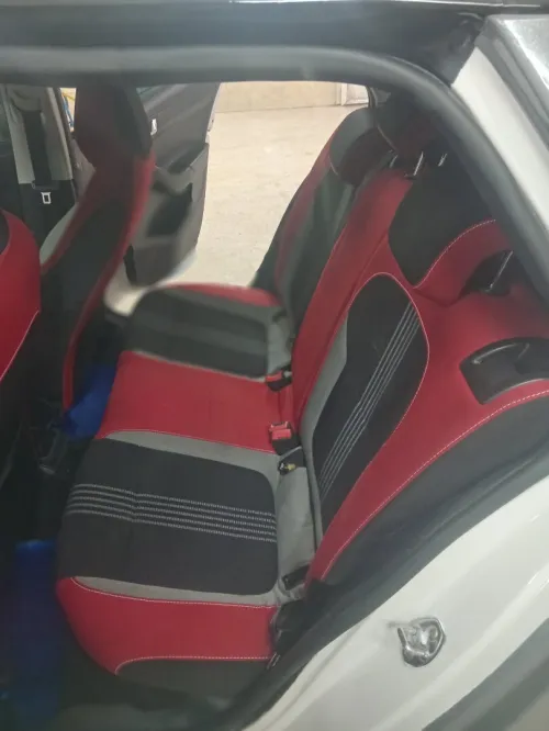 Skoda Fabia 2019 Monte Carlo