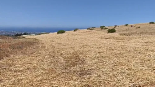 Vente Terrain Agricole Boumerdès Djinet