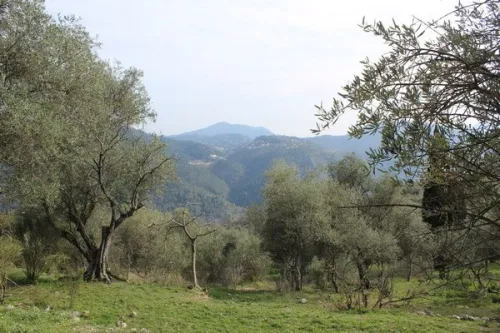 Vente Terrain Agricole Béjaïa Ait rzine