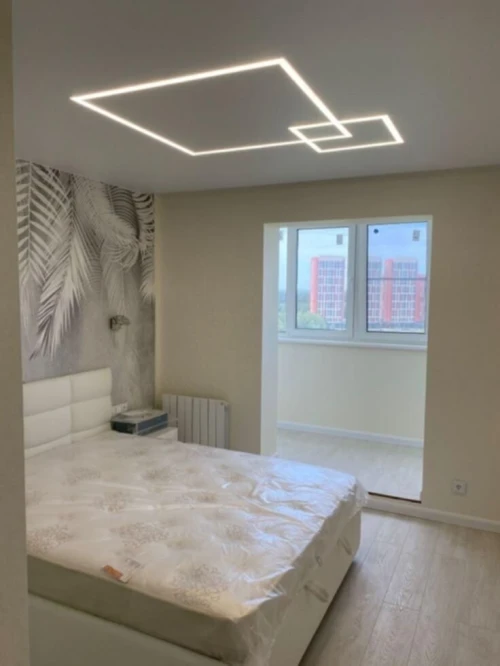 Peintre professionnel 