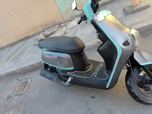 Vms Estate 2022