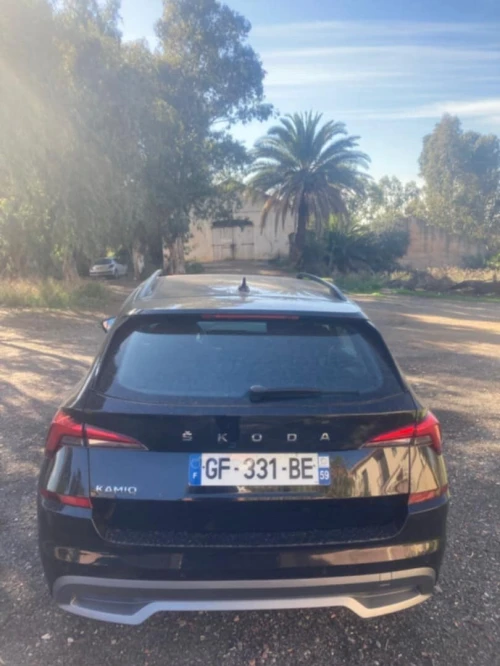 Skoda Kamiq 2022 Touts Options