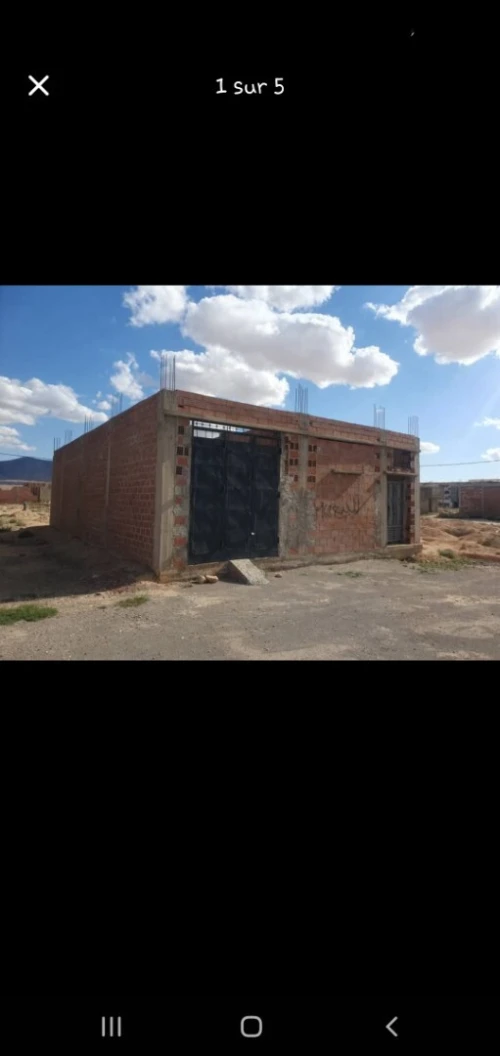 Vente Terrain Batna Seggana