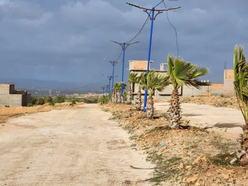 Vente Terrain Mostaganem Hassi maameche