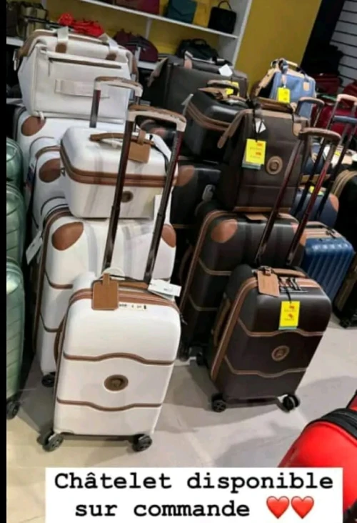 Valise SAMSONITE et DELSEY