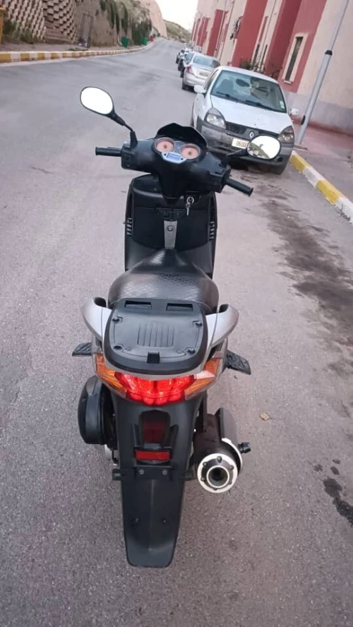 Benelli LOGI 2018