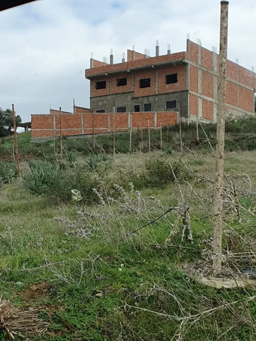Vente Villa Blida Meftah