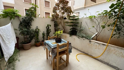 Location Appartement Duplex F6 Alger El achour