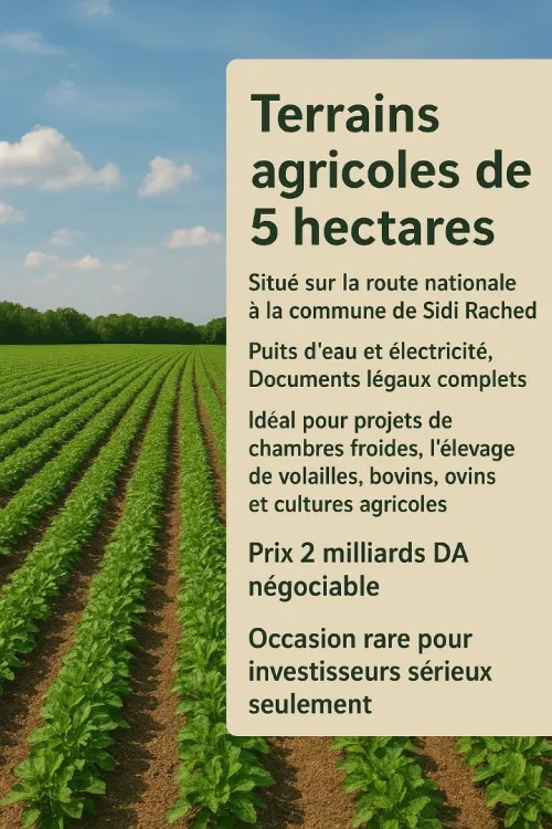 Vente Terrain Agricole Tipaza Tipaza