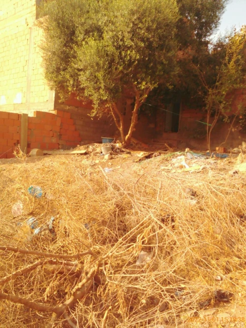 Echange bien immobilier Oran El braya