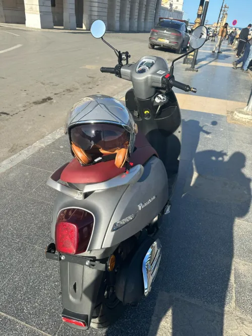 benelli panarea 2025