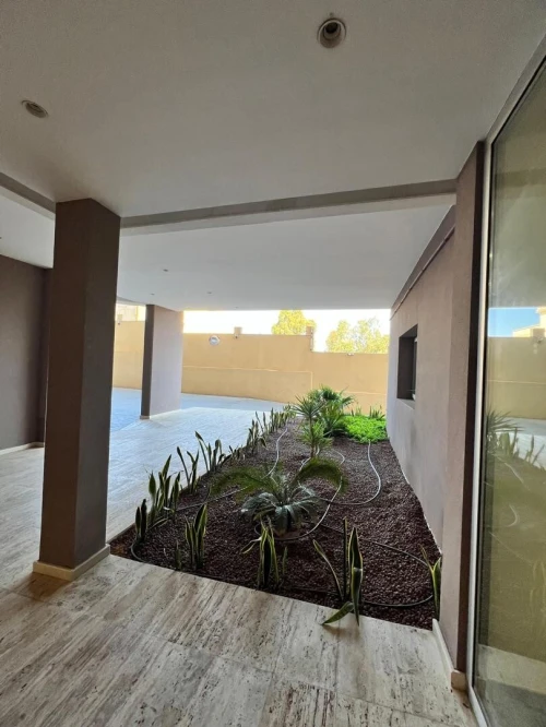 Vente Appartement F4 Alger Dely brahim