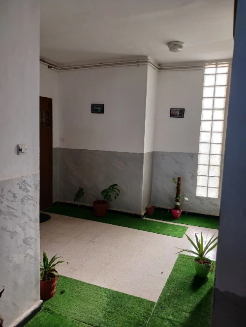 Location Appartement F3 Alger Birkhadem