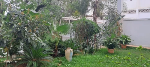 Location Villa Alger Ben aknoun