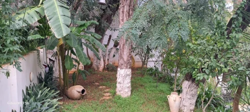 Location Villa Alger Ben aknoun