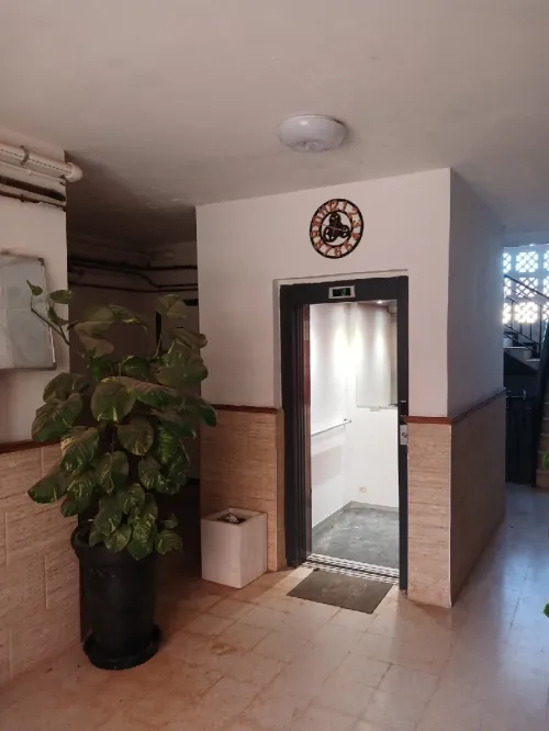 Location Appartement F3 Alger Birkhadem