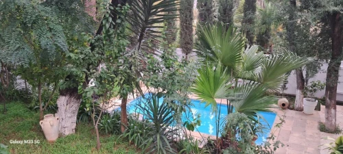 Location Villa Alger Ben aknoun