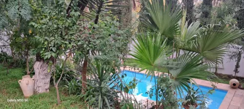 Location Villa Alger Hydra
