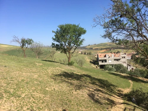 Vente Terrain Bouira Bouira
