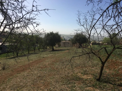 Vente Terrain Bouira Bouira