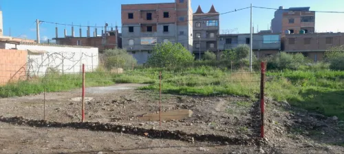 Vente Terrain Alger Sidi moussa