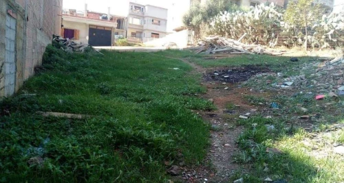Vente Terrain Alger Khraissia