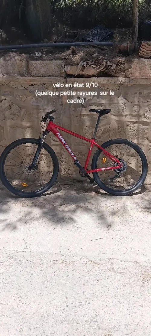Vélo. Nakamura Summit 920 LTD