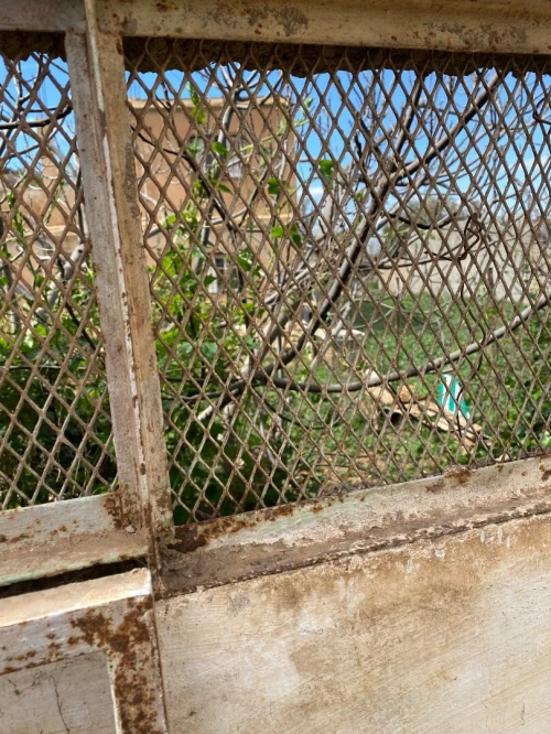 Vente Terrain Tlemcen Tlemcen