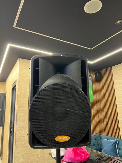 Enceinte Professionnelle JACKSON JK-493P à vendre