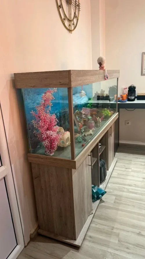 Chaise pour salle d'attente + Tapis + aquarium + 3 tables gigogne
